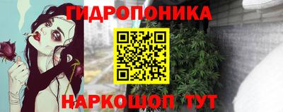 стаф Севастополь