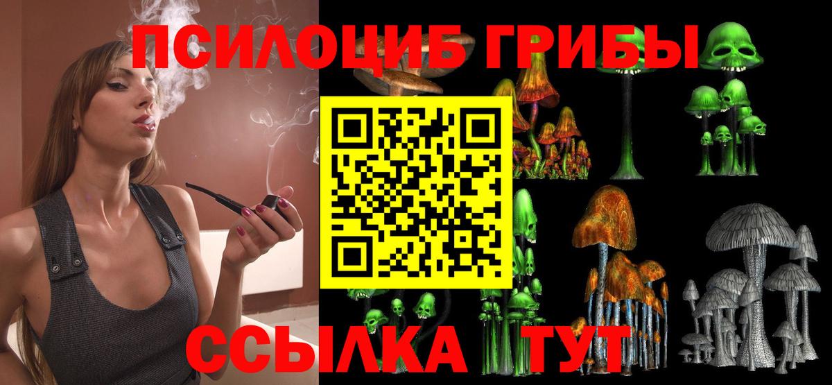 Галлюциногенные грибы Cubensis  Вход с VPN  Саров  Галлюциногенные грибы Psilocybe 